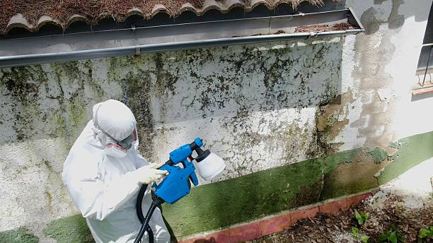 Top rated local Attic Mold Removal specialists in Renovo, PA